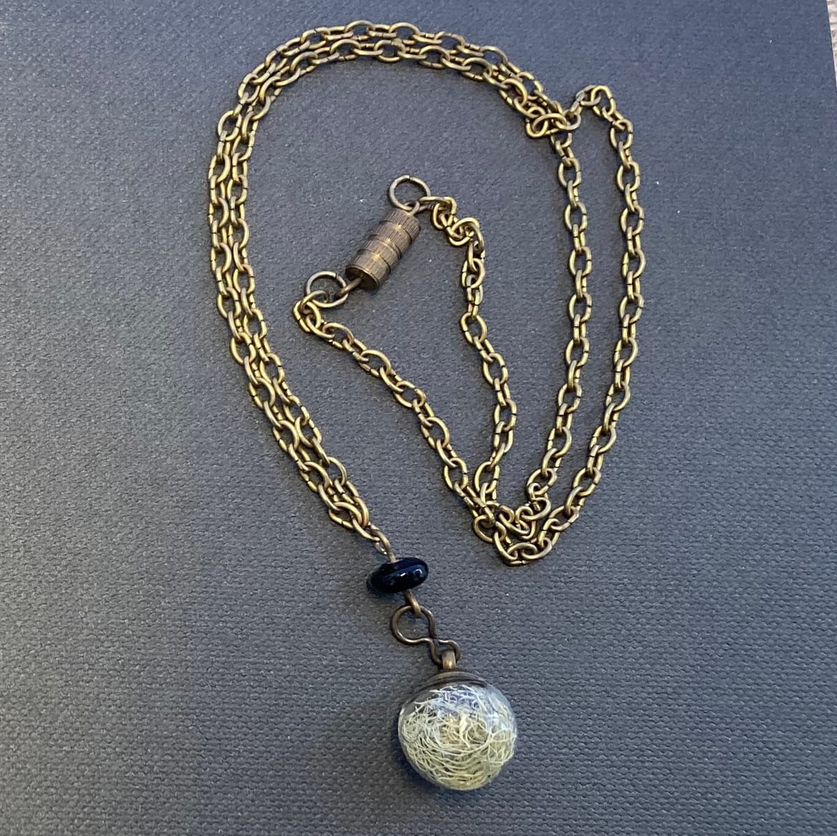 Halsband av återbruk – skägglav