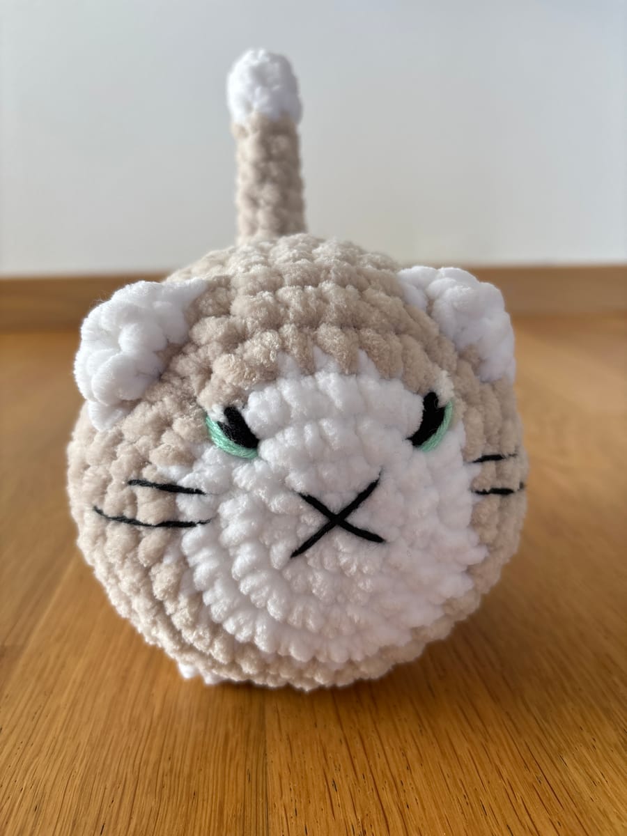 Ny virkad loafkatt med broderade ögon