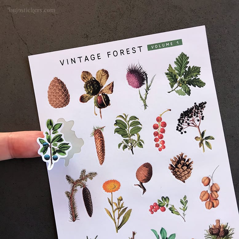 Stickers – Skog, kvistar och kottar
