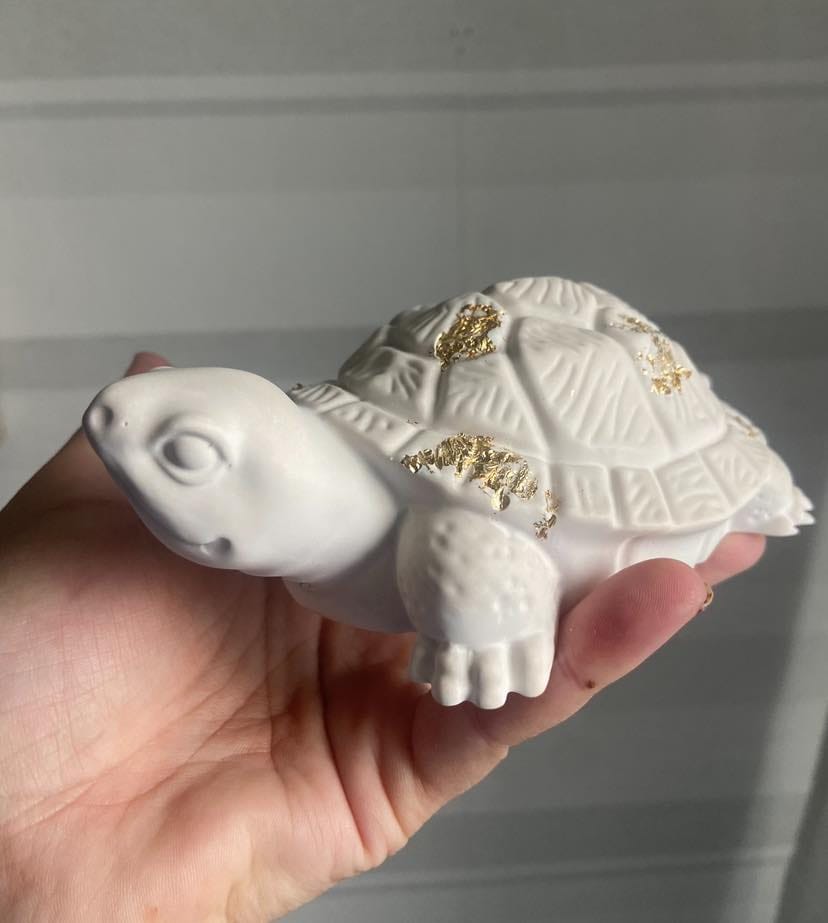 Sköldpadda i stengips