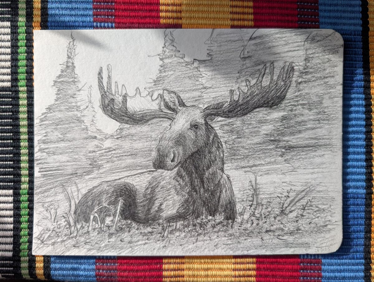 Älg i skog - Teckning - A5