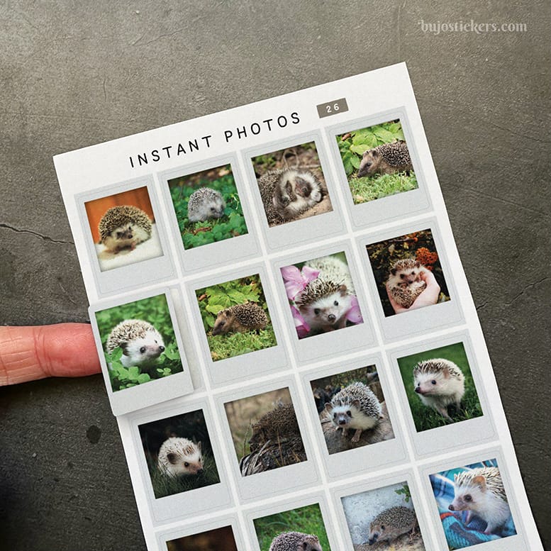 Stickers – Igelkottar – Instant photos 26