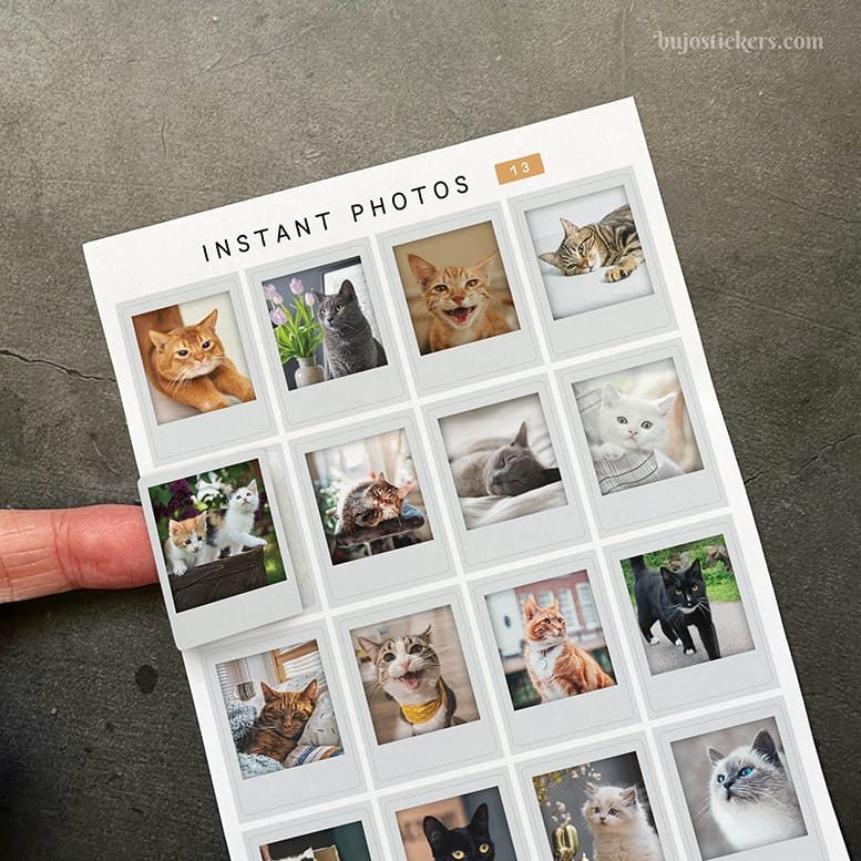 Stickers – Katter – Instant photos 13