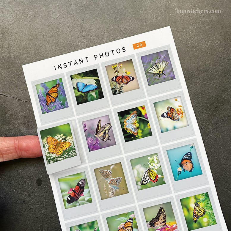Stickers – Fjärilsbilder – Instant photos 26