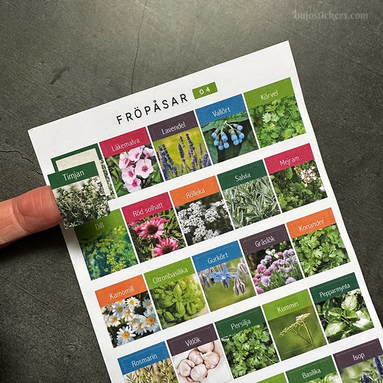 Stickers – Fröpåsar: örter och kryddor