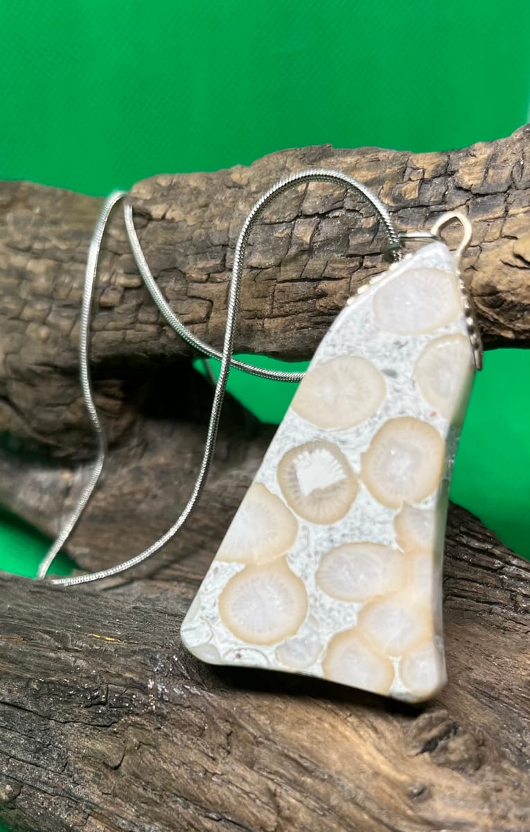 Halsband med fossil