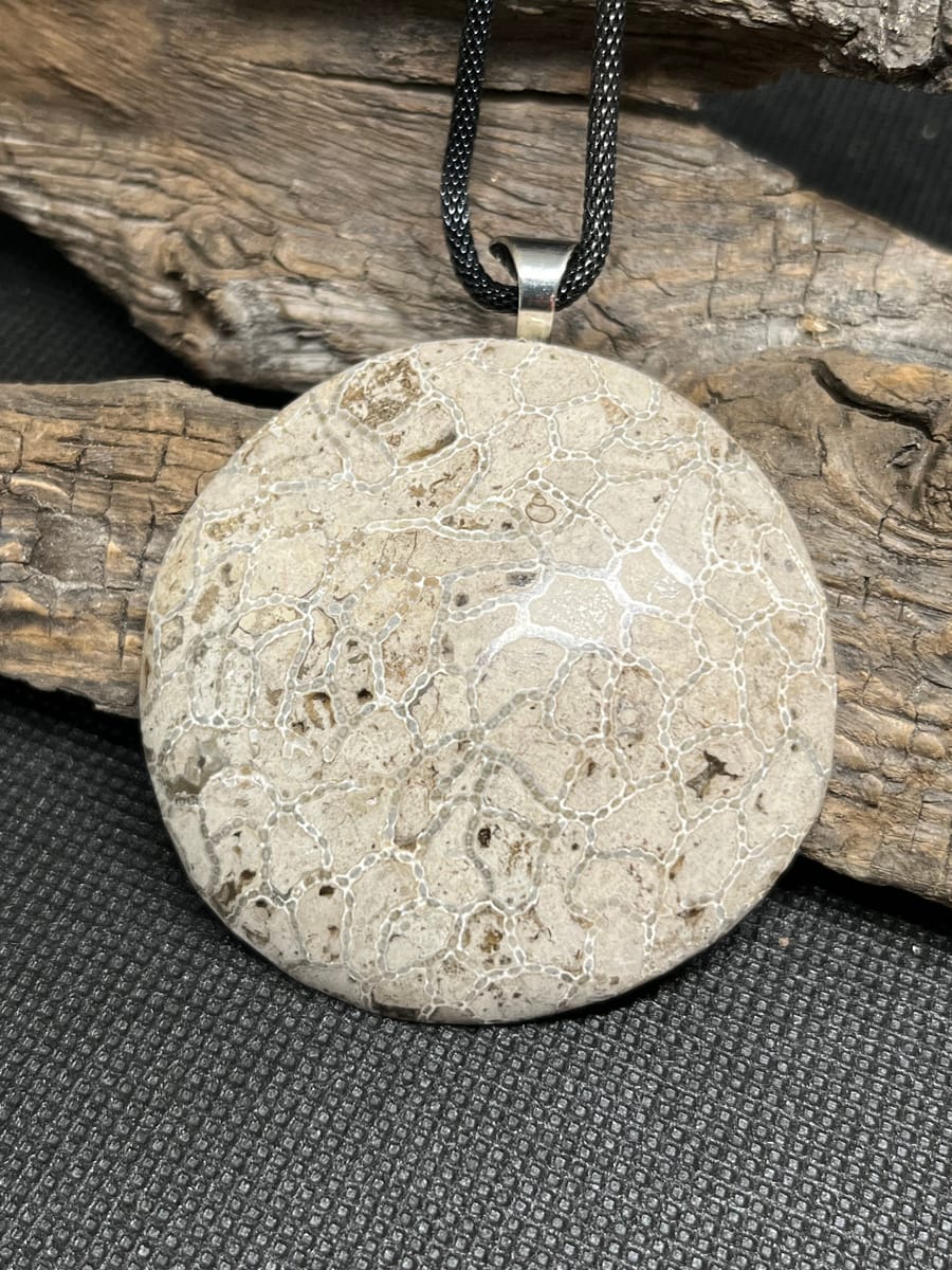 Halsband med fossil