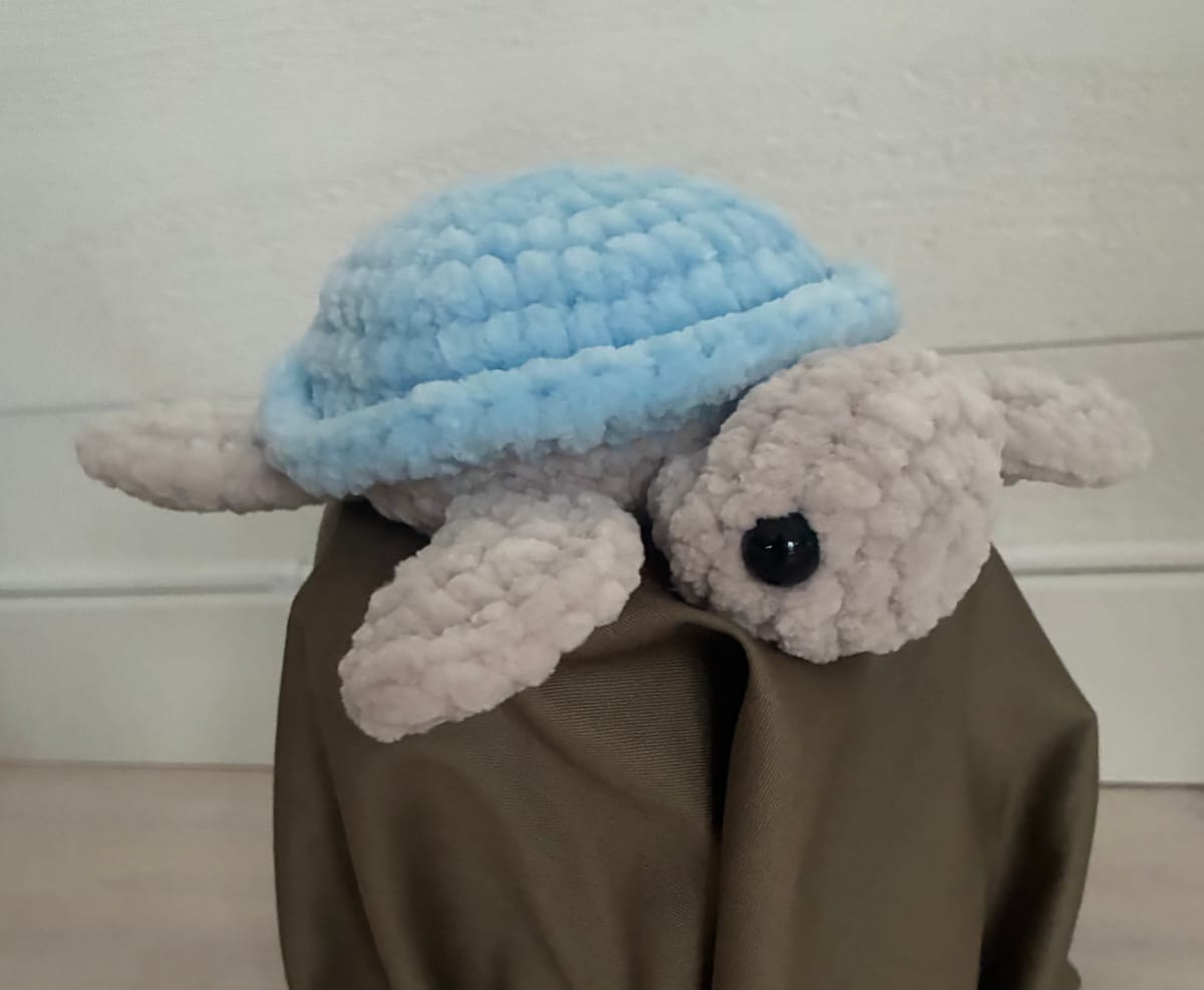 Virkad sköldpadda, ljusblå