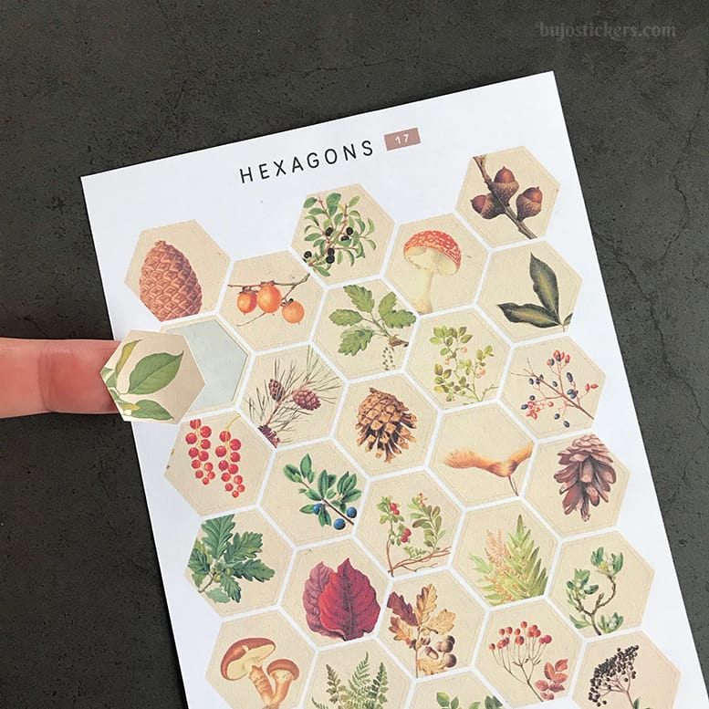 Stickers – Löv, kottar, svampar och kvistar i hexagoner