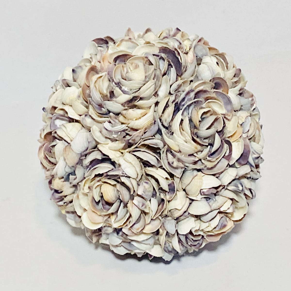 Inrednings dekoration av snäckor.