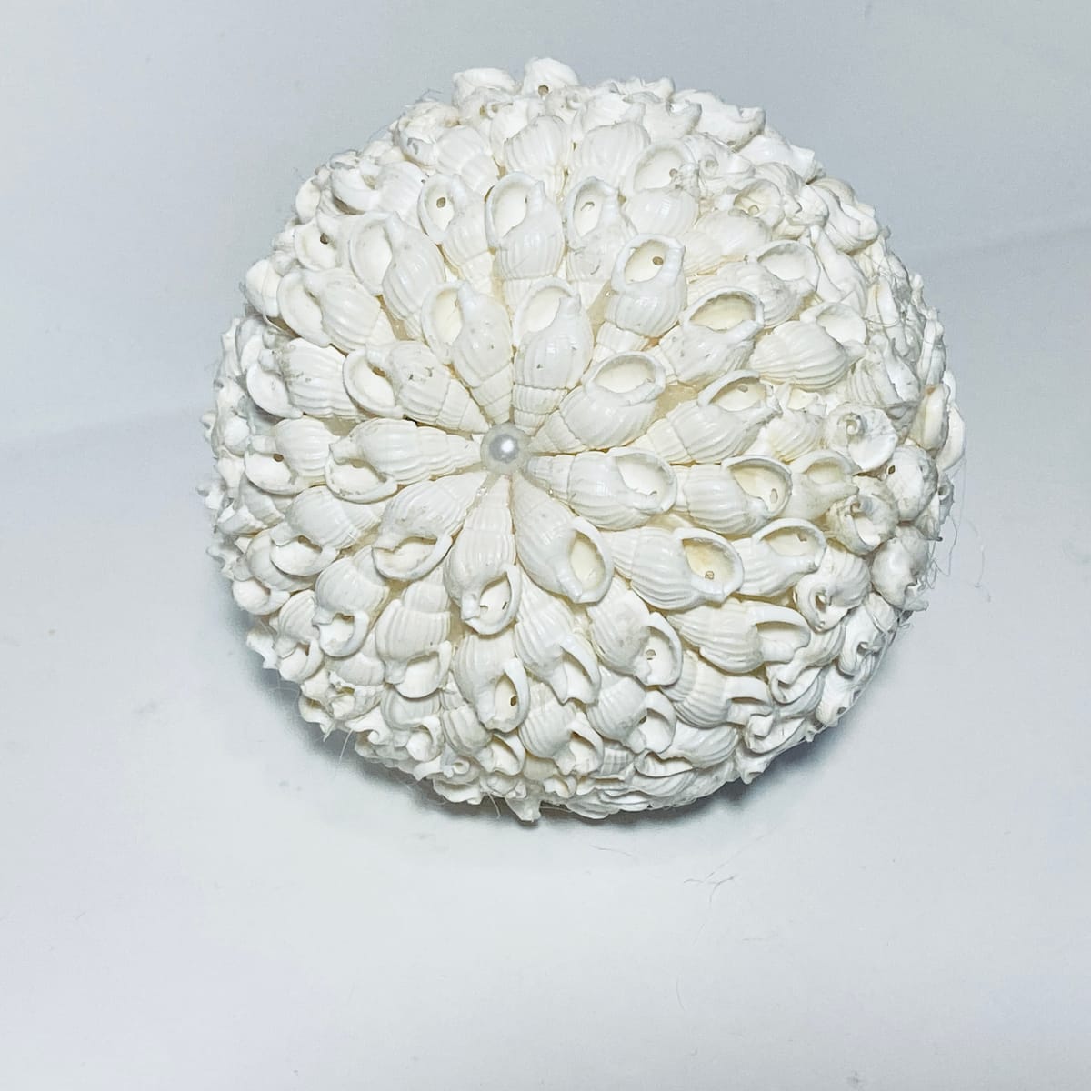 Inrednings dekoration av snäckor