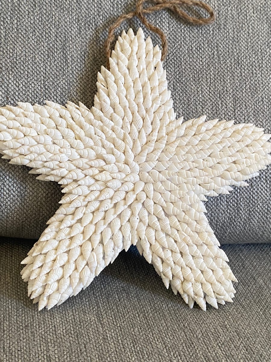 Vägg dekoration sjöstjärna i snäckor