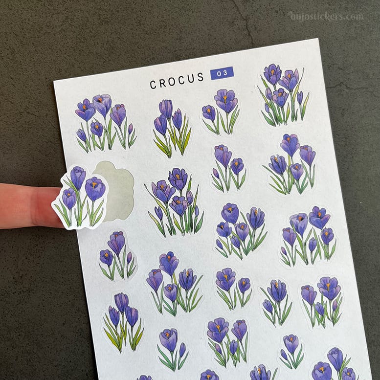 Stickers – Lila krokus