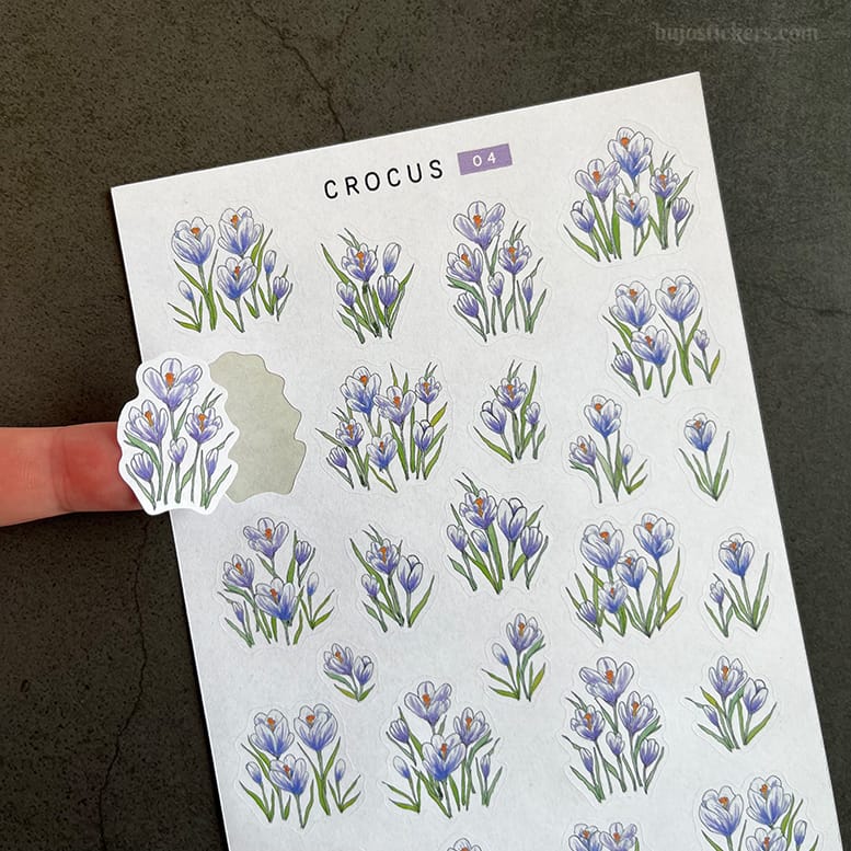 Stickers – Vita och lila krokus