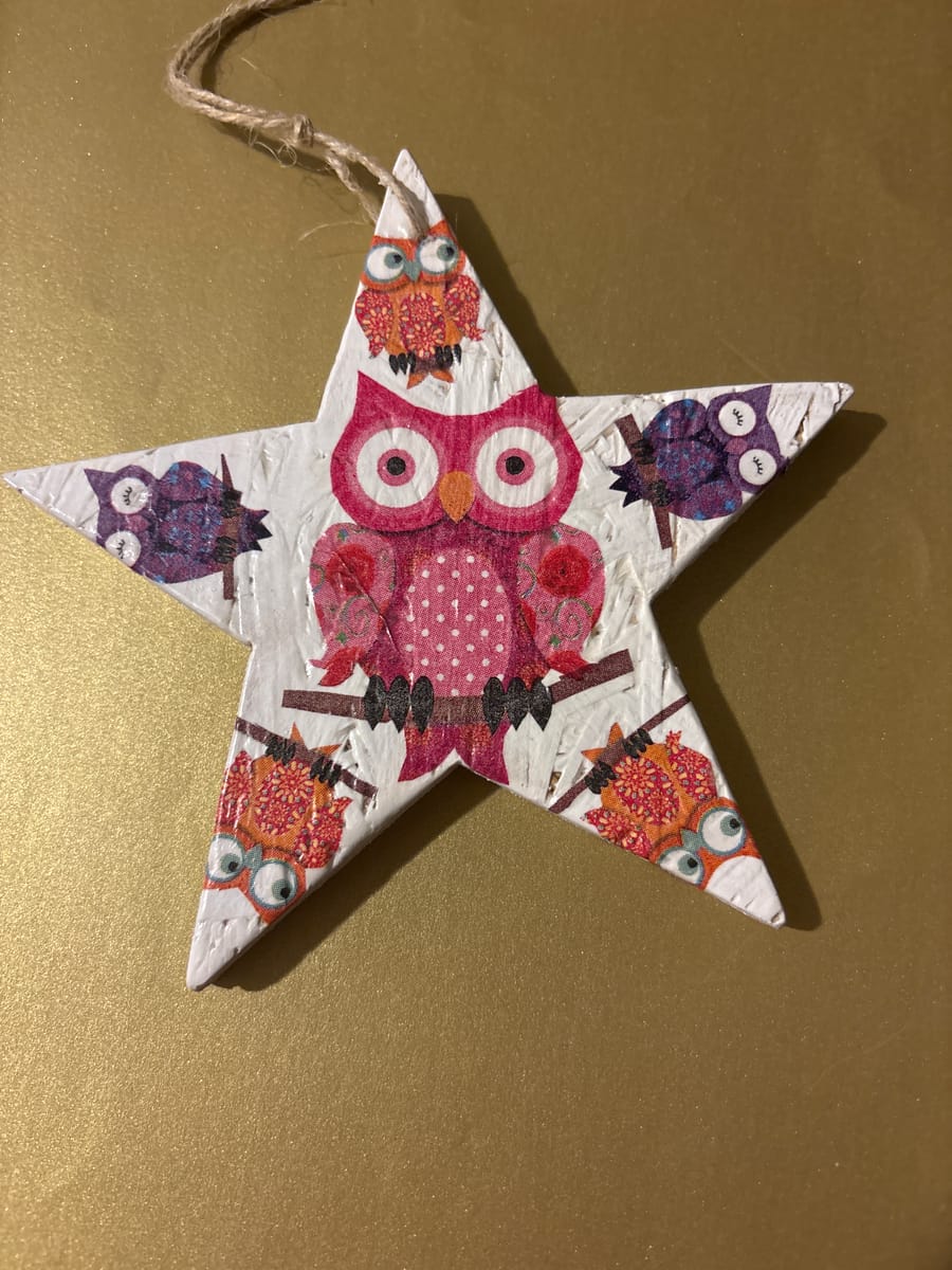 🦉 Handgjord dekorationsstjärna – ReDesignByTess & Mikko