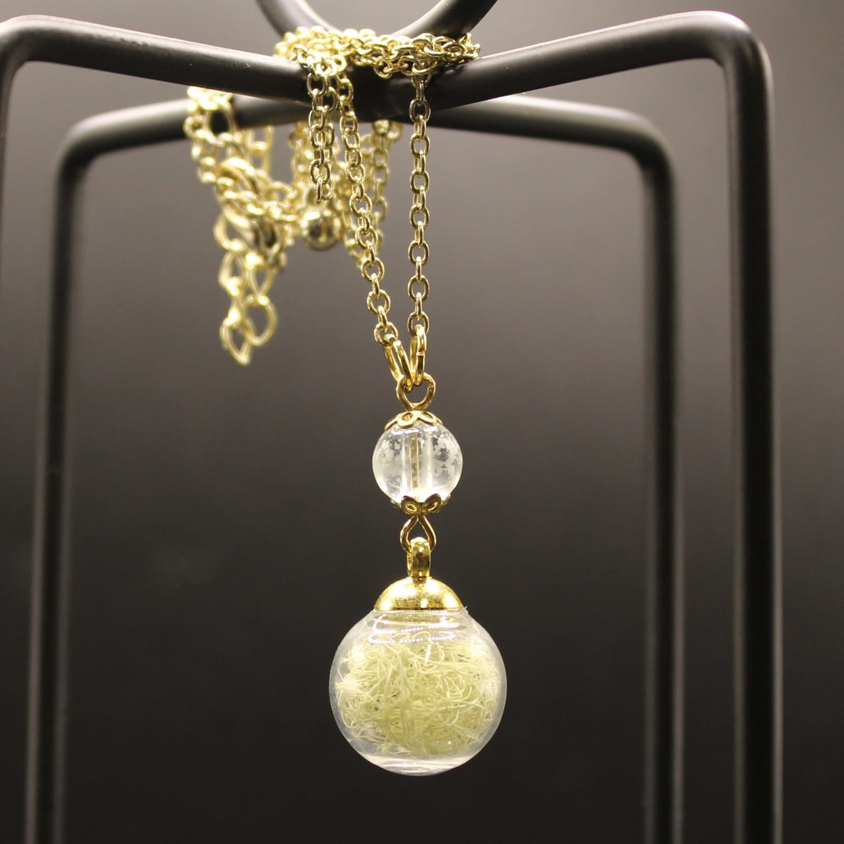 Glashänge med skägglav