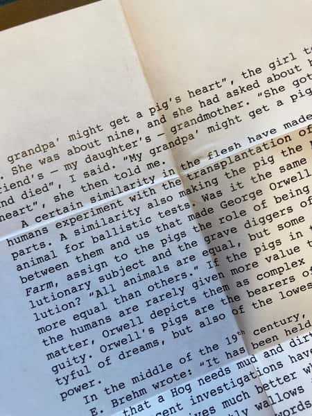 Halsband av återbruk – gris