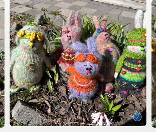 Busiga hand stickad och broderad kanin