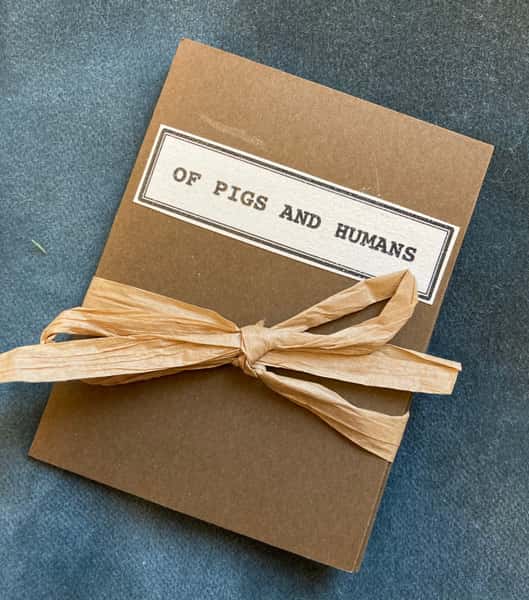 Örhängen av återbruk – grisar