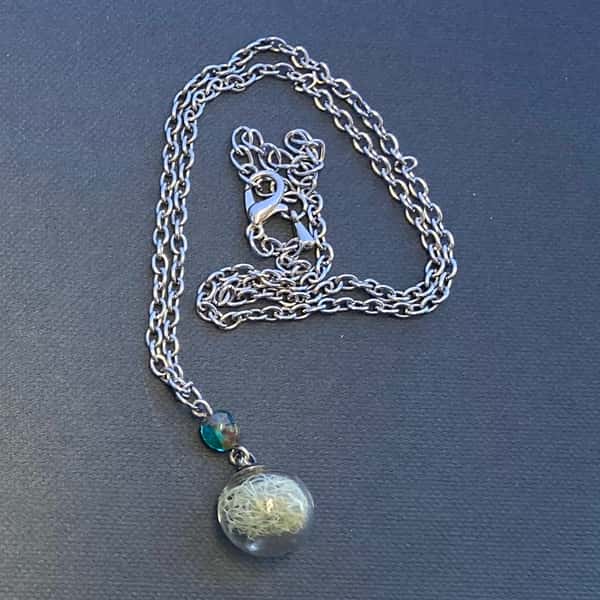 Halsband av återbruk – skägglav