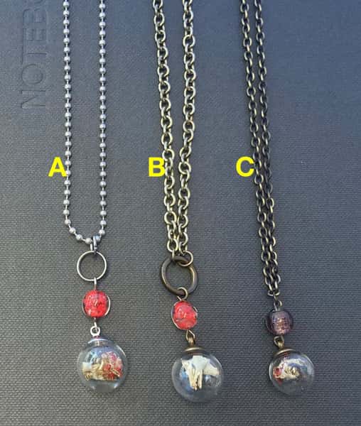 Halsband av återbruk – blombägarlav