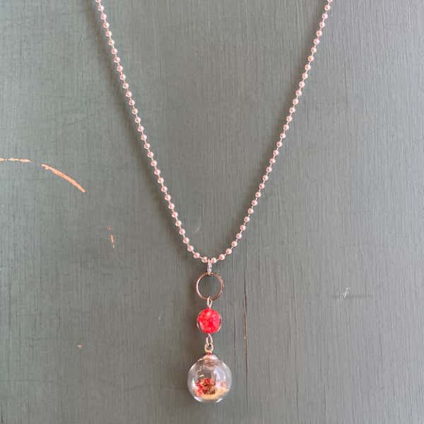 Halsband av återbruk – blombägarlav