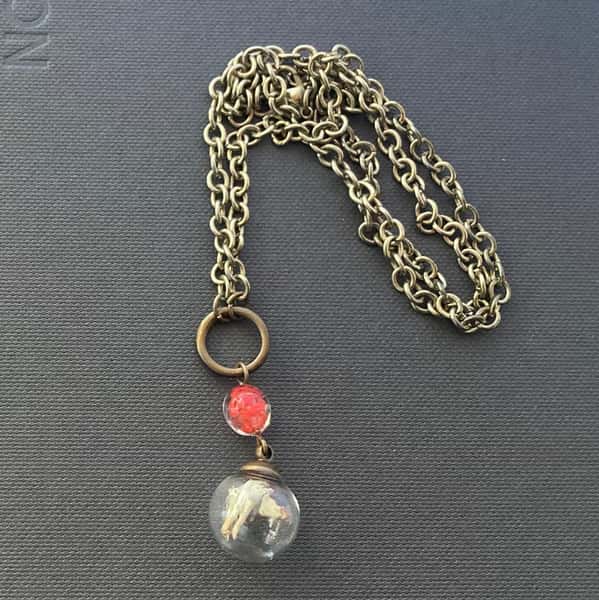 Halsband av återbruk – blombägarlav