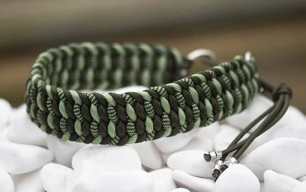 Halsband 41 cm i Crocodile Green, Crocodile Green & Holy Guacamole Shockwave, Holy Guacamole