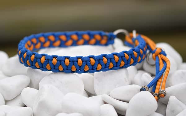 Halsband 40 cm i Royal Blue & Royal Orange