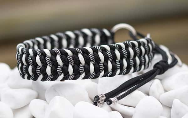 Halsband 38 cm i Black, White & Zebra Shockwave