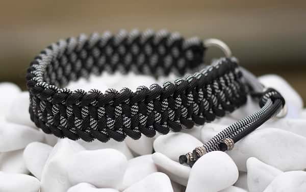 Halsband 38 cm i Black & Zebra Shockwave