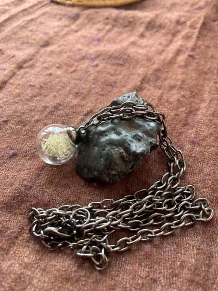 Halsband av återbruk – renlav