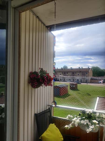 Solfångare, dekoration