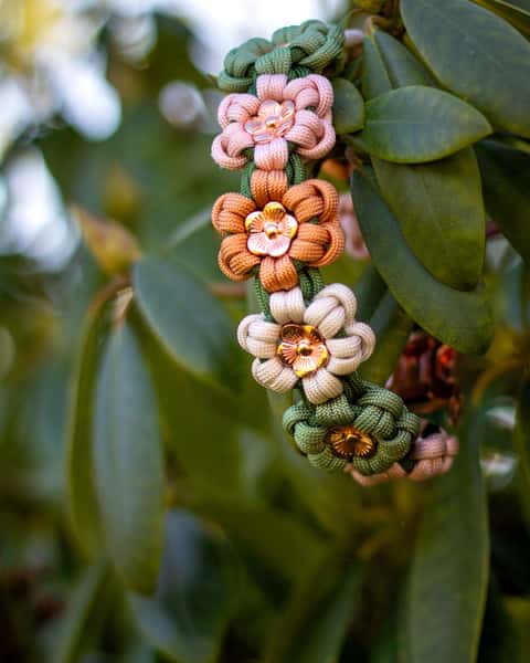Hundhalsband Blommor