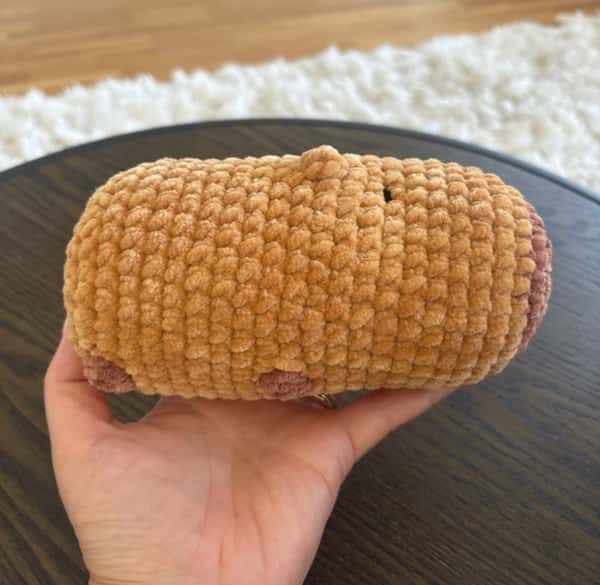 Virkad capybara