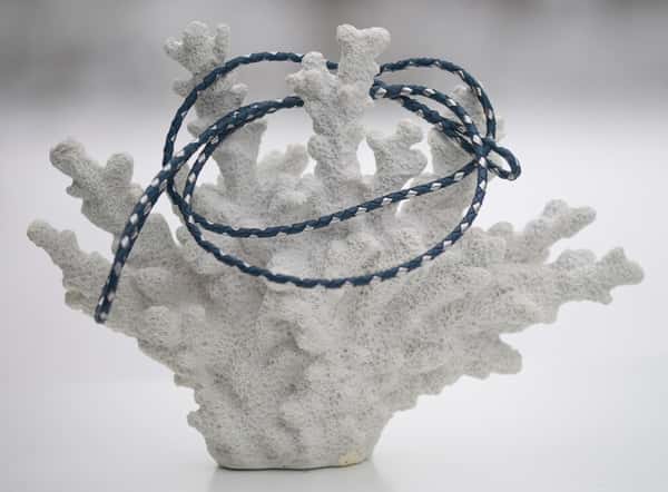 Utställningskoppel känguruläder i royal blue & silver