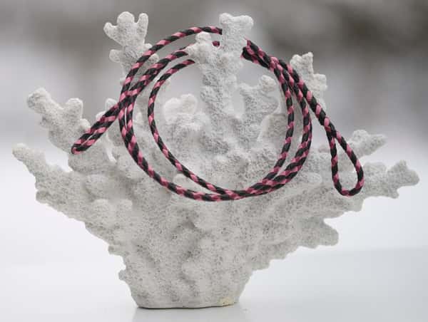 Utställningskoppel känguruläder i black, soft pink & cerise