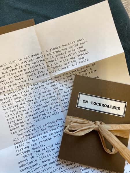 Pynt / julgransdekoration – kackerlacka