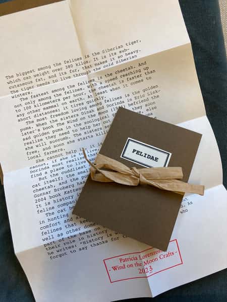 Pynt / julgransdekoration – kattdjur: leopard / lejon / tiger