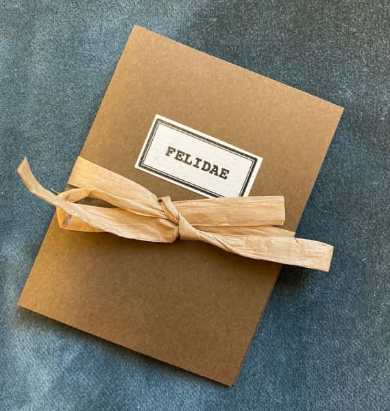 Pynt / julgransdekoration – kattdjur: leopard / lejon / tiger