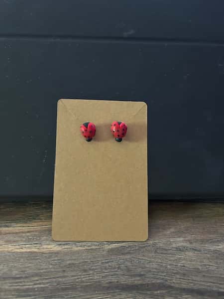 Örhängen - nyckelpigor