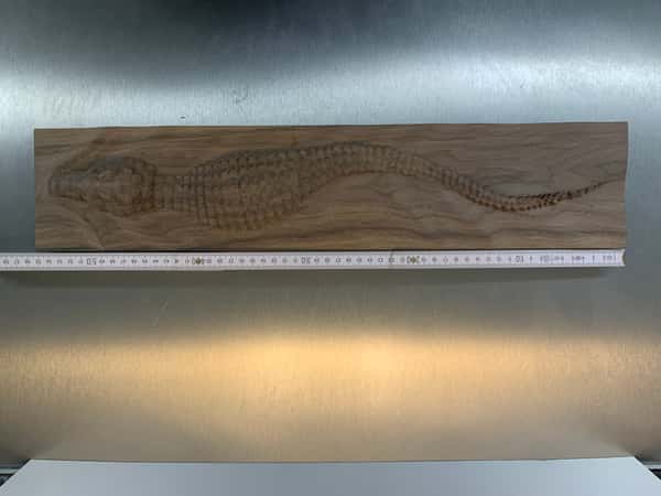 Cnc 3D utskuren krokodil i Valnöt