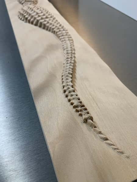 Cnc 3D utskuren krokodil i Björk