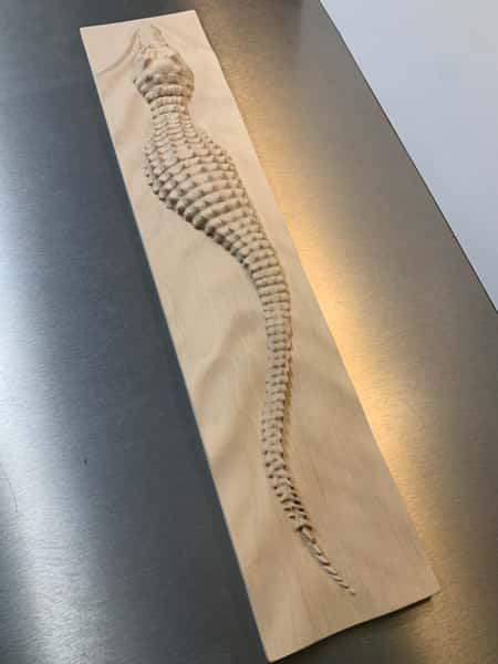 Cnc 3D utskuren krokodil i Björk