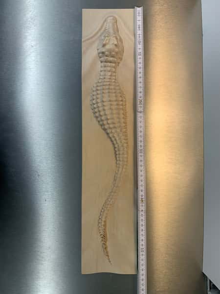 Cnc 3D utskuren krokodil i Björk