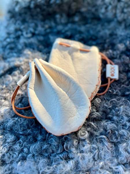 Pung, medeltid, vikingatid, lajv