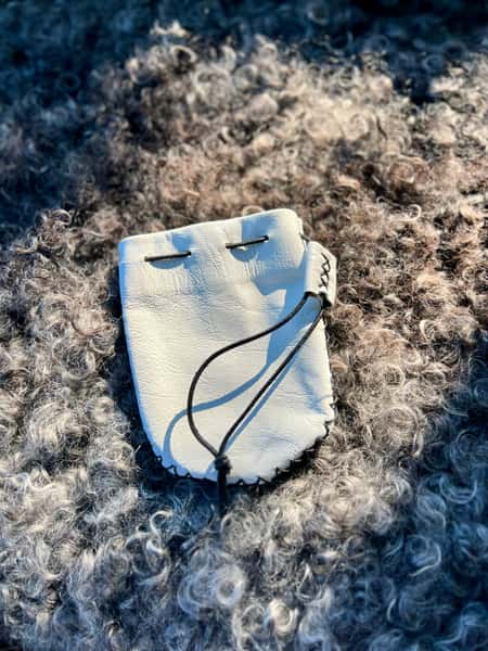 Pung, medeltid, vikingatid, lajv