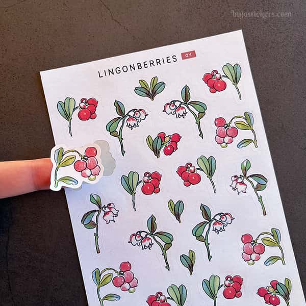 Stickers – Lingon och blåbär (stora)
