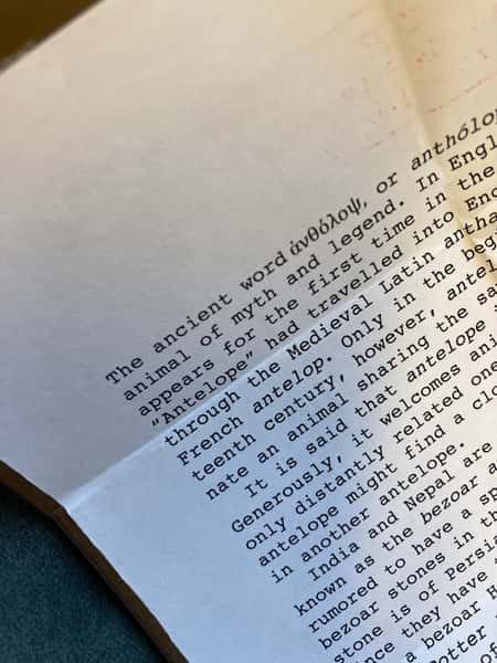 Halsband av återbruk – killing / häst / åsna