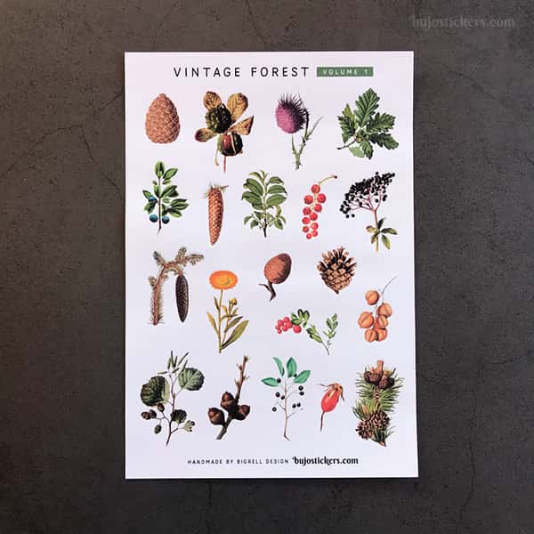 Stickers – Skog, kvistar och kottar